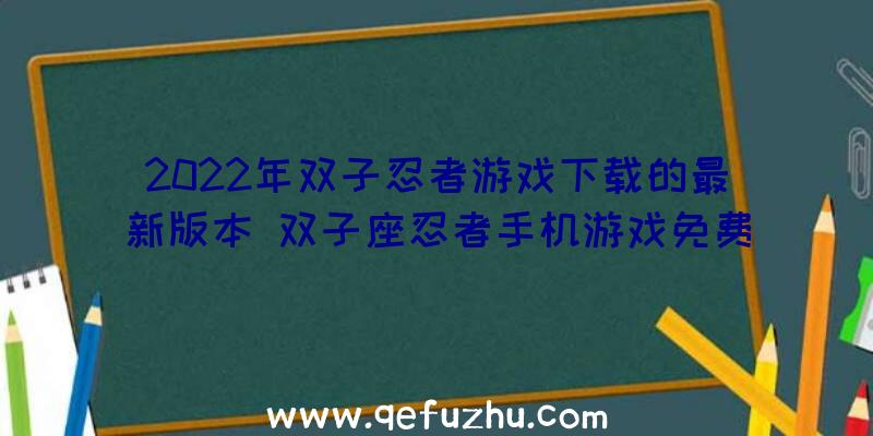 2022年双子忍者游戏下载的最新版本